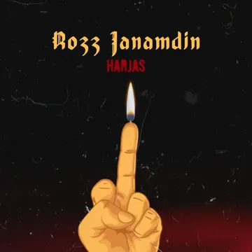 Rozz Janamdin-cover