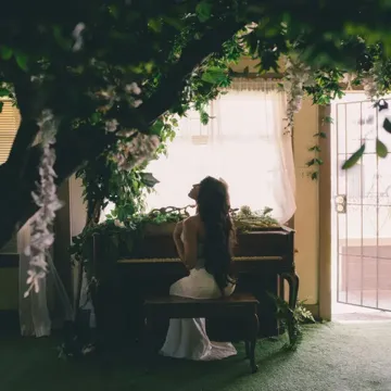 forest green-cover