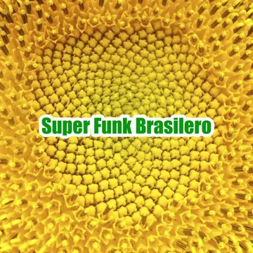 Minha Ex Voltou-cover