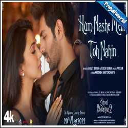Hum Nashe Mein By Vinay Dubey-cover
