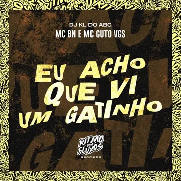 Eu Acho Que Vi um Gatinho-cover