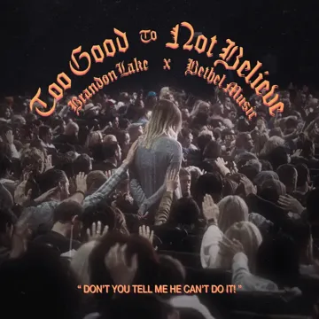 Too Good To Not Believe-cover