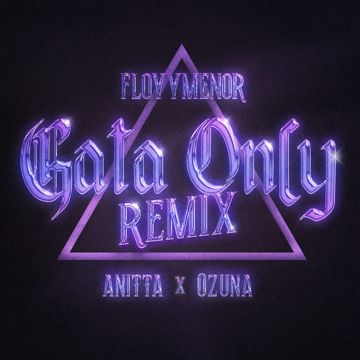 Gata Only (Remix)-cover
