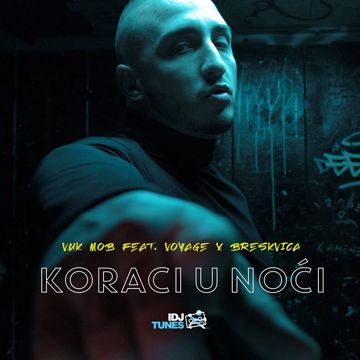 Koraci U Noci-cover
