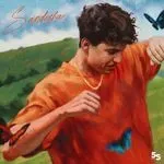 Dekha!-cover