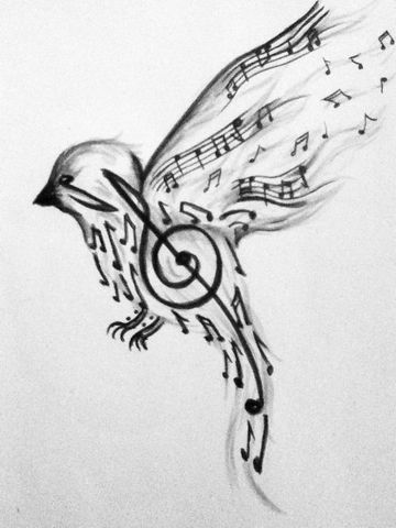 Savvato (-1)-cover