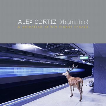 Magnifico-cover