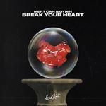 Break Your Heart-cover