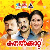 Ente Janmam Nee Eduthu-cover