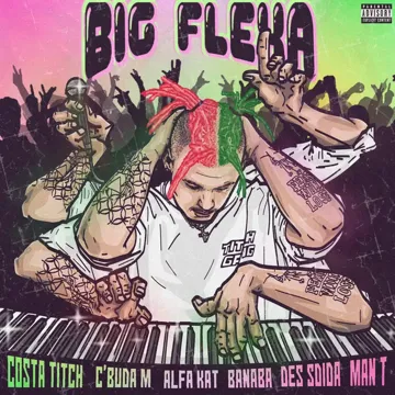 Big Flexa-cover