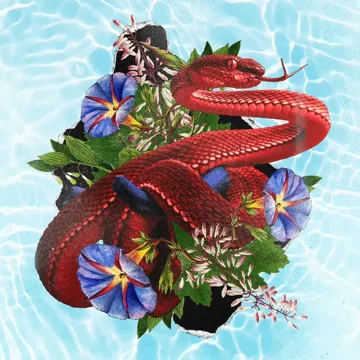 Good Care-cover
