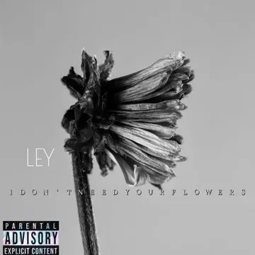 I Don’t Need Your Flowers-cover