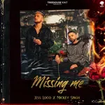 Missing Me-cover