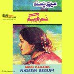 naseem-begum-aye-rah-e-haq-ke-shaheedo-cover-image