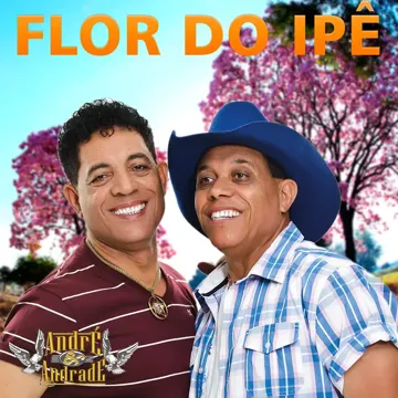 Estrela de Ouro (Ao Vivo)-cover