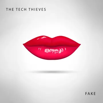 Fake-cover