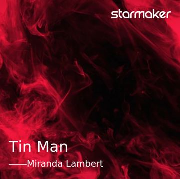 Tin Man-cover