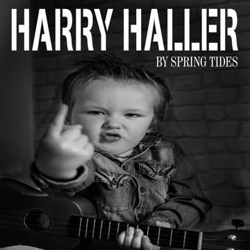 Harry Haller