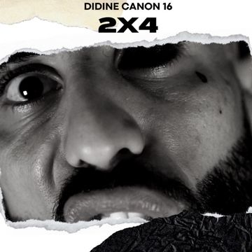 2X4-cover