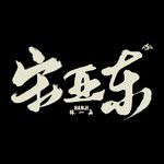 宋亚东-cover