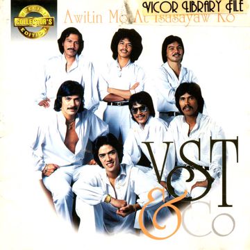 Swing-cover