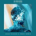 By The River(Adam Trigger & Provi Remix)-cover