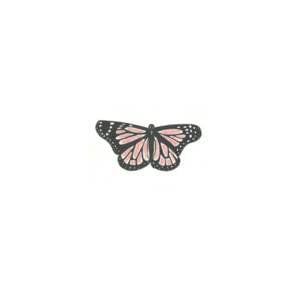 Butterfly-cover