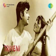 Paamaram Palunku Kondu-cover