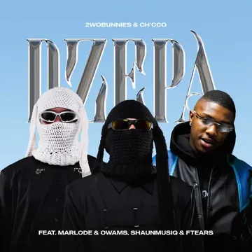 Dzepa-cover