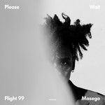 Flight 99-cover