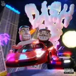 Dash-cover