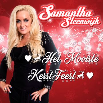 Het Mooiste Kerstfeest-cover