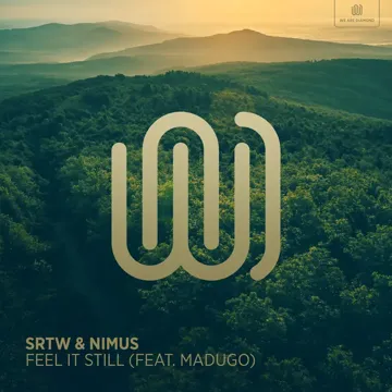 Feel It Still-cover