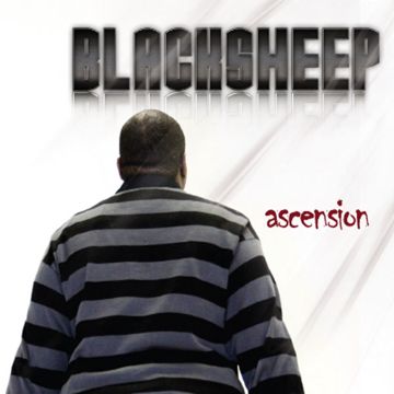 Black Sheep