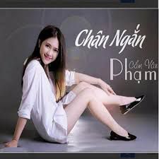 cm-vn-phmtmt-chn-ngn-cover-image