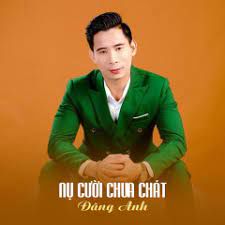 Nụ Cười Chua Chát-cover