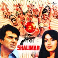 Hum Bewafaa-cover