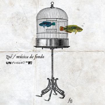 Paula-cover
