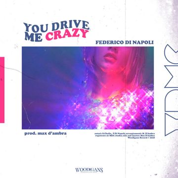 You Drive Me Crazy-cover