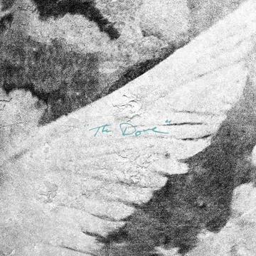 The Dove (Live)-cover
