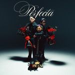 Perfecta-cover
