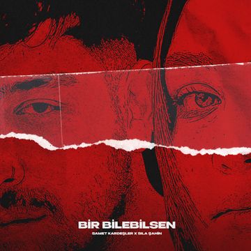 Bir Bilebilsen-cover