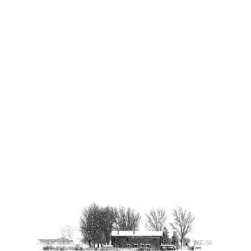 silent-cover