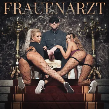 Doppeldeckerfick-cover