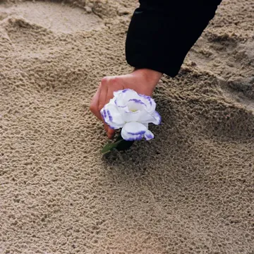 coveImg