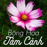 Bài Ca Hà Nội