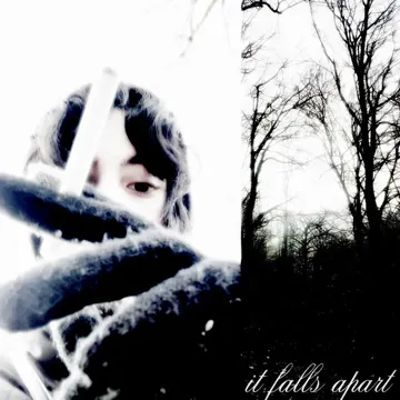 it falls apart-cover