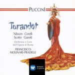 "In questa Reggia, or son mill'anni e mille" (Turandot, Coro, Calaf)-cover
