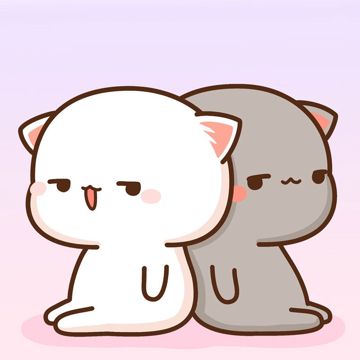 coveImg