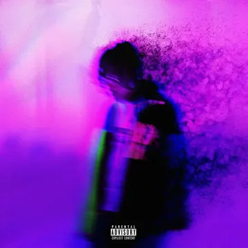 VANISH-cover